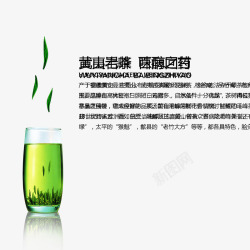 绿茶香茶文化素材