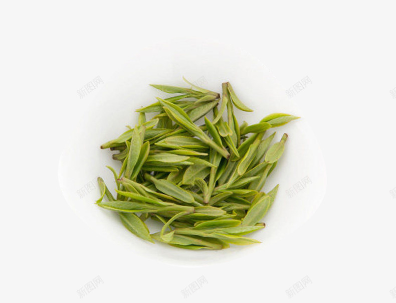 雀舌茶毛尖png免抠素材_88icon https://88icon.com 新茶上市 新茶海报 新茶竹叶茶 明前茶叶 毛尖茶 竹叶毛尖