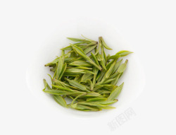 雀舌茶毛尖素材