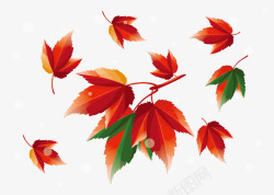 秋季装饰枫叶矢量图素材