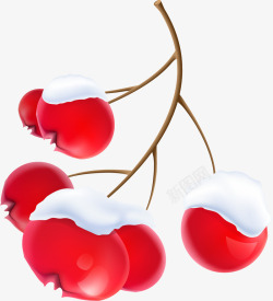png挂雪手绘红色挂雪的果子矢量图高清图片