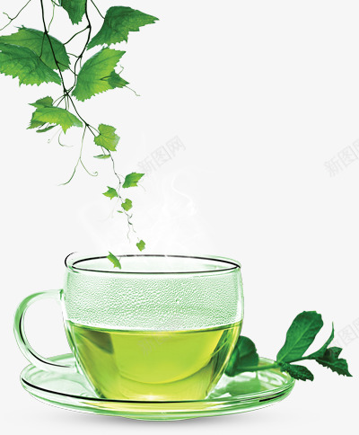 绿叶和绿茶png免抠素材_88icon https://88icon.com 玻璃杯 绿茶 茶 茶叶 茶杯 茶水 藤蔓 透明杯