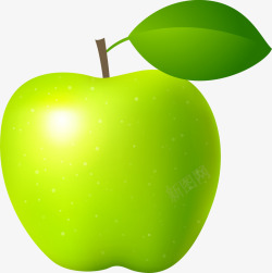 青苹果新鲜水果矢量图素材