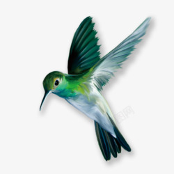 飞着的小鸟素材