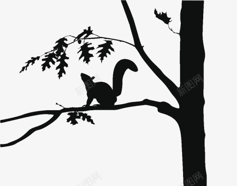 黑白插图小松鼠与树枝图标图标