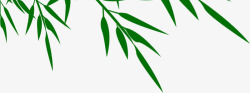 绿色竹叶夏季素材