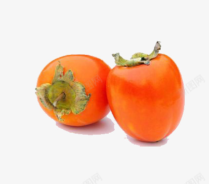 成熟的柿子png免抠素材_88icon https://88icon.com 柿子 橙色 水果 秋天