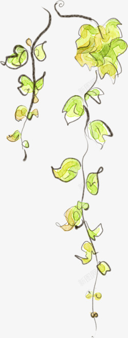 黄绿色手绘夏季藤蔓素材