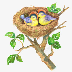 手绘插图树上的鸟窝素材