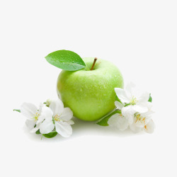 绿色苹果实物图素材