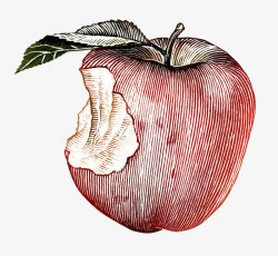 咬过的苹果苹果手绘图高清图片