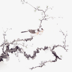 鸟在枝头素材