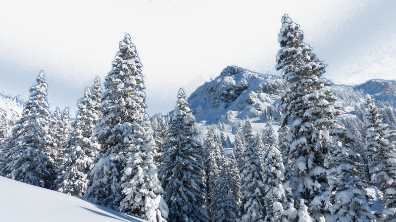 冬季高山雪景psd免抠素材_88icon https://88icon.com 山 白色 雪 雪景