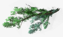 绿色手绘大树树枝装饰图案素材