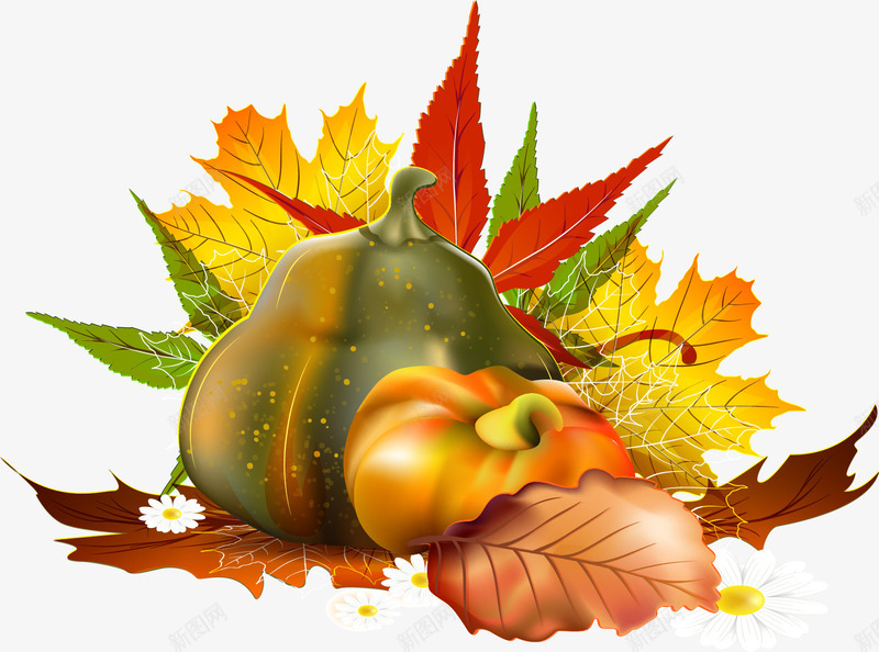 卡通秋天收获树叶果实png免抠素材_88icon https://88icon.com 卡通 收获 果实 树叶 秋天
