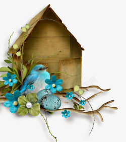 可爱的小鸟和木头鸟屋素材