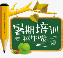 暑期培训招生啦素材