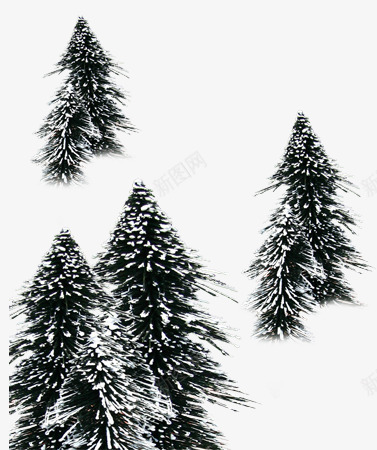 寒雪中的松树png免抠素材_88icon https://88icon.com 冬季 坚韧 松树 灰色 白雪