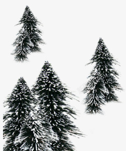 寒雪中的松树素材