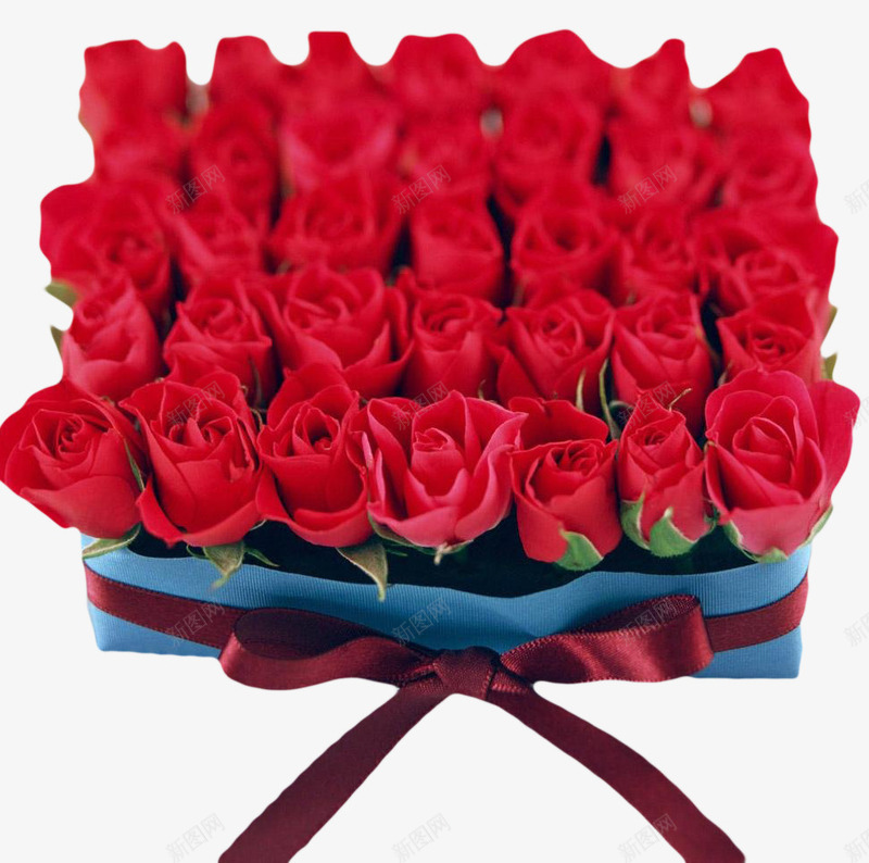红玫瑰方形鲜花包扎实物图png免抠素材_88icon https://88icon.com 丝带 包扎 方形 爱情 红玫瑰