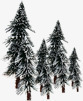 冬季白雪松树淘宝促销素材