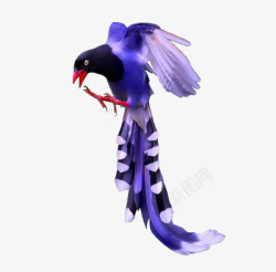 紫蓝翡翠鸟紫蓝翡翠鸟高清图片
