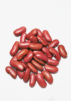 红豆实物素材