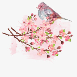 桃花枝上的小鸟素材