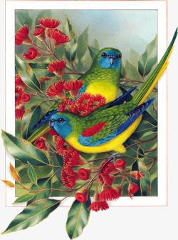 手绘康乃馨与小鸟素材