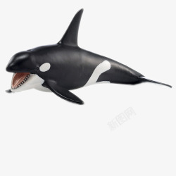 德国思乐白鲨鱼玩具素材