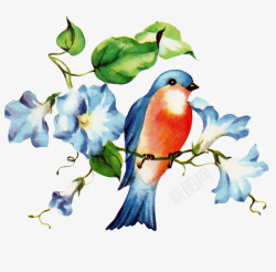 手绘花鸟图素材