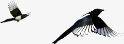 黑色水墨小鸟装饰素材