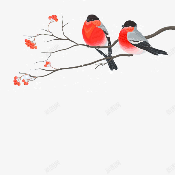 绘画小鸟png免抠素材_88icon https://88icon.com 手绘 水彩 鸟