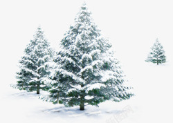 树木白茫茫冬季雪景素材