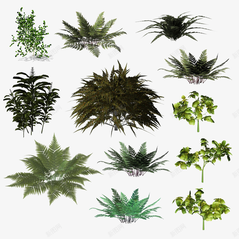 植物组合png免抠素材_88icon https://88icon.com PNG图形 树叶 植物 绿植 装饰