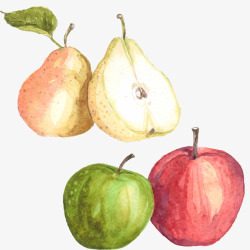 手绘水彩苹果和梨素材