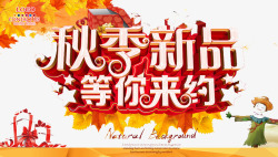 秋季新品素材