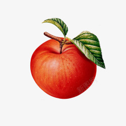 红苹果装饰素材