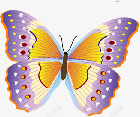 紫色斑点夏季蝴蝶png免抠素材_88icon https://88icon.com 夏季 斑点 紫色 蝴蝶