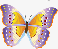 紫色斑点夏季蝴蝶素材