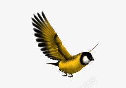 飞着的小鸟素材
