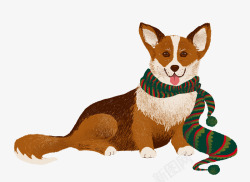 冬季围巾系着围巾的可爱小狗高清图片