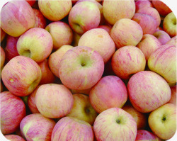 新鲜苹果水果红富士素材