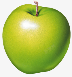 水果素描水果精美青苹果素材