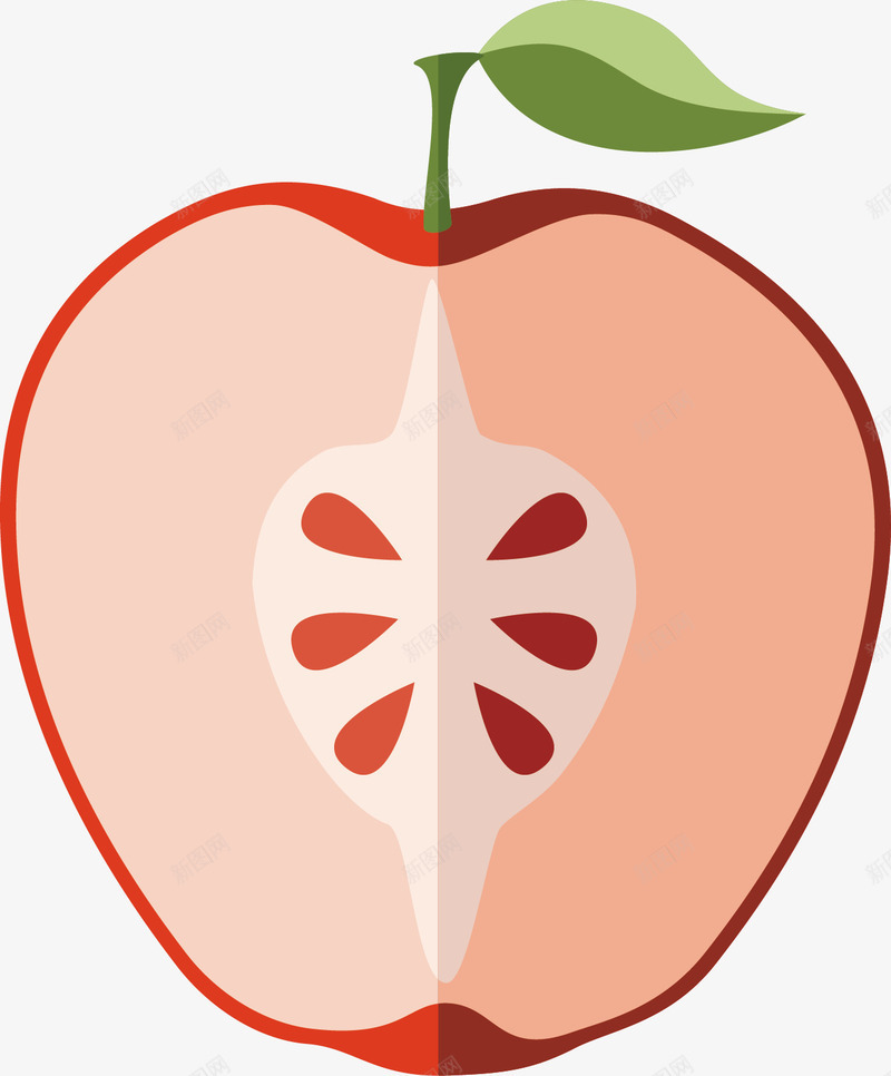 红苹果切面png免抠素材_88icon https://88icon.com 扁平 水果 美味 美食 美食节 苹果