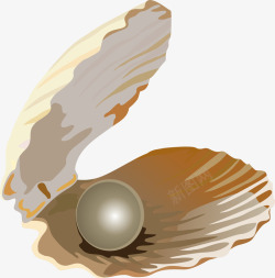 黄色贝壳手绘灰色珍珠高清图片