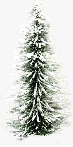冬季雪块大树素材