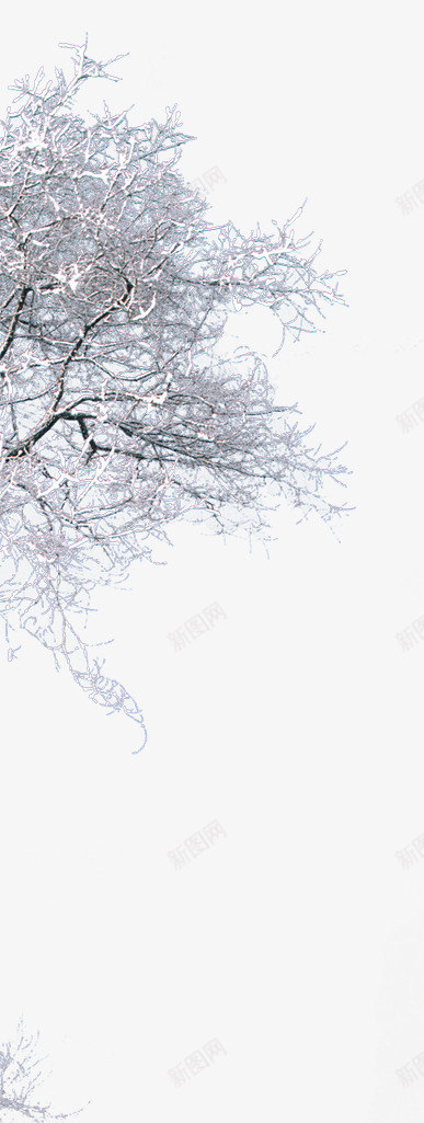 冬季树枝装饰海报png免抠素材_88icon https://88icon.com 冬季 树枝 海报 装饰