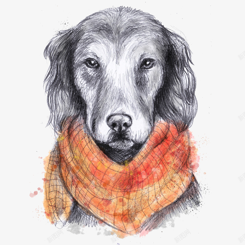 戴着围巾的可爱小狗png免抠素材_88icon https://88icon.com 冬季 动物 可爱的 围巾 小狗 素描 绘画 耳朵
