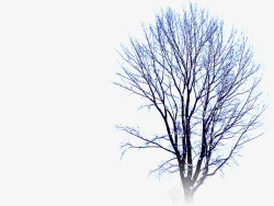 冬季大树风景装饰素材